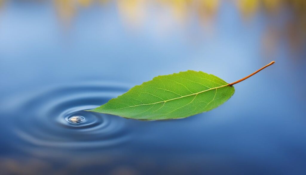 letting go letting go