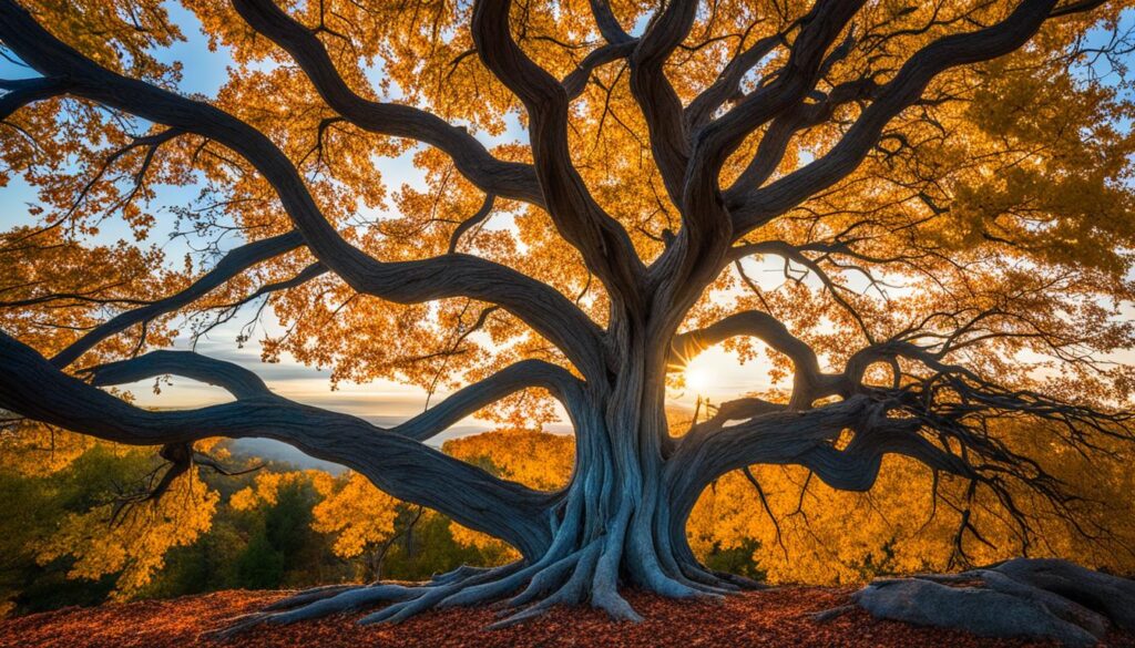 finding balance in a changing world finding balance in a changing world