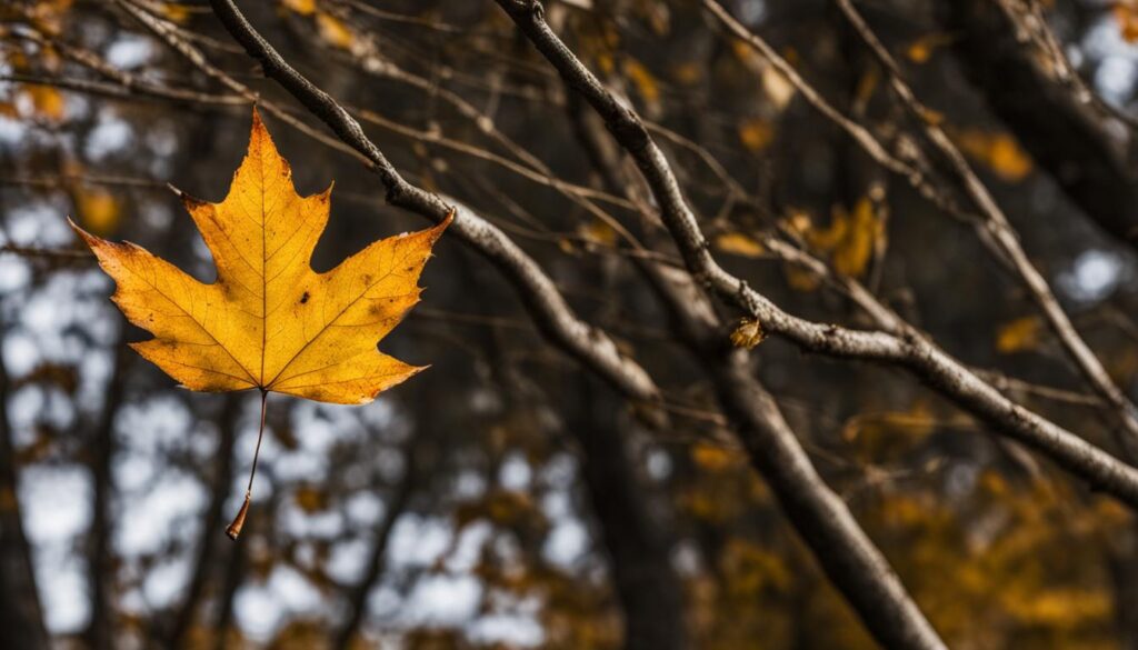 knowing when to let go