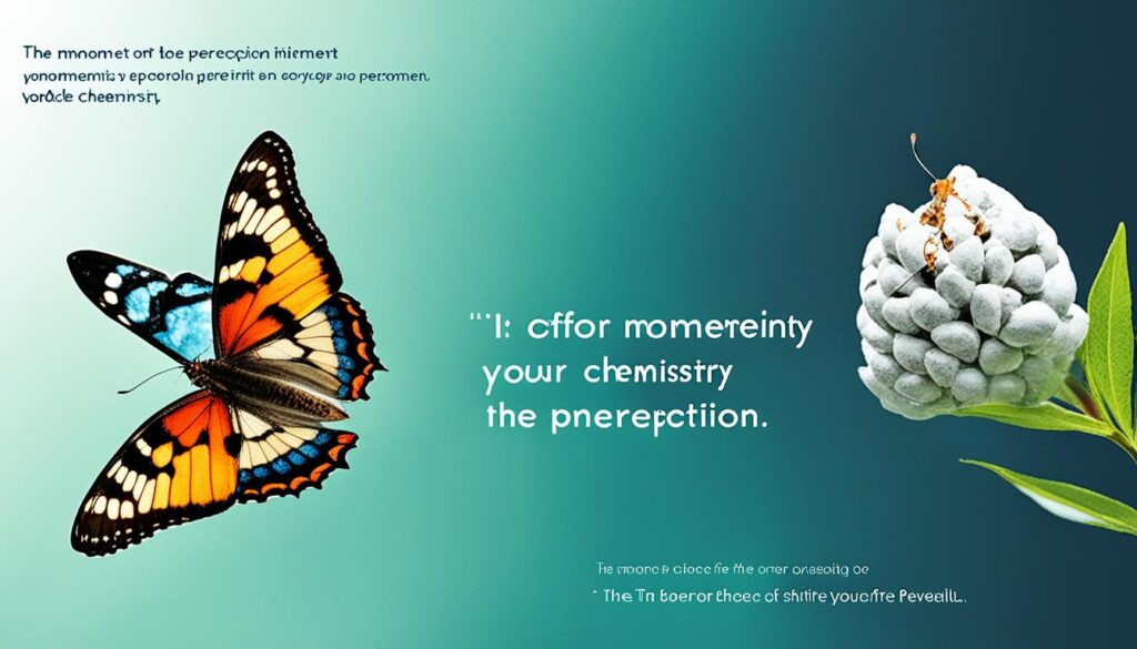 mindset shifts mindset shifts