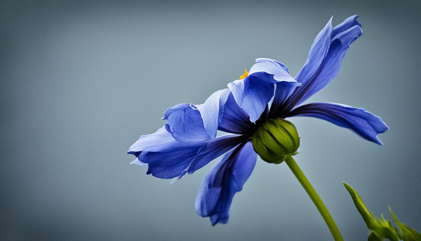 not passionate about anything