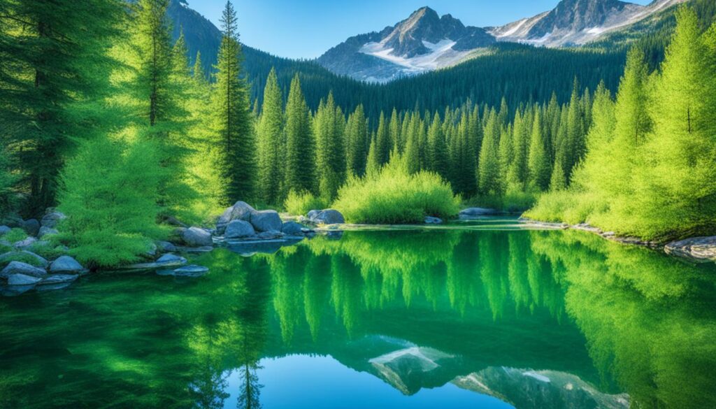 principles of buddhism