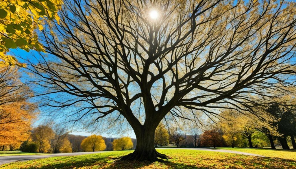 embracing change embracing change